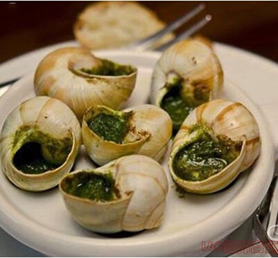 4. 食用蜗牛(escargot)