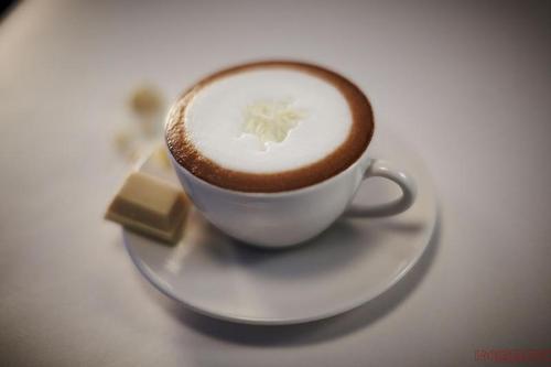 3. 法式牛奶咖啡(cafe au lait)